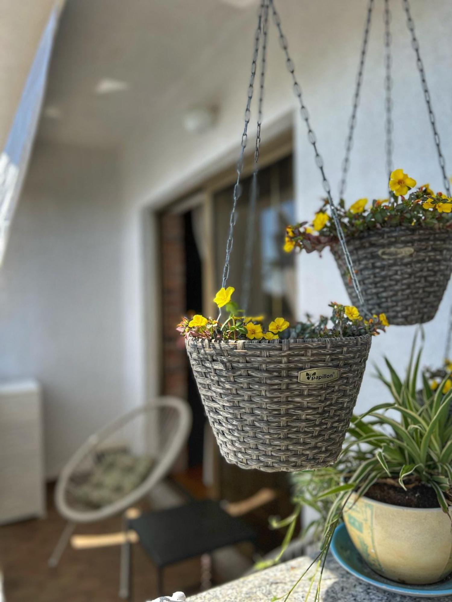 Apartmani Mia Palit ภายนอก รูปภาพ